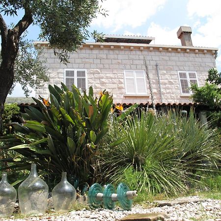 Guest House Maria Bilicic Dubrovnik Bagian luar foto
