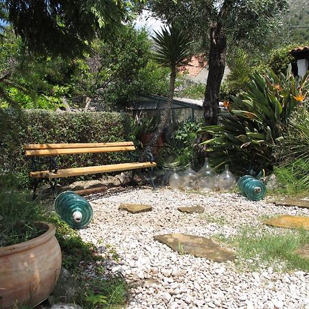 Guest House Maria Bilicic Dubrovnik Bagian luar foto